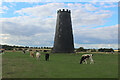 TA0238 : The Black Mill on Westwood, Beverley by Chris Heaton