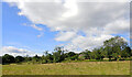 A field by Burn Bridge Road, Burn Bridge