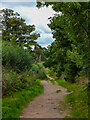 A bridleway on the border of Stourbridge