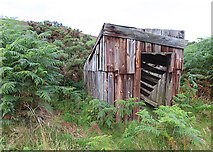 NJ0241 : Trackside Hut by Anne Burgess