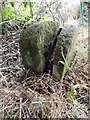 Old Boundary Marker near Park End Cottage, Clee Hill