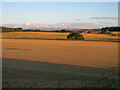 Stubble field near Garvock