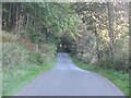 Wooded road near Invermay