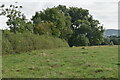 Field path north of Church Farm