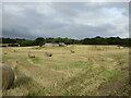 Field of bales near Woodside