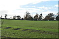 High Weald farmland