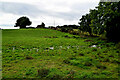 Wet ground, Drumlegagh