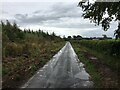 Recent drainage works beside road near Sharkshields Farm