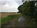 Farm track near Monks Rest Farm