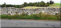 View over wall on NW side of Kirkby Stephen Road