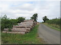 NT9443 : Log stacks, Mattilees Hill by Richard Webb