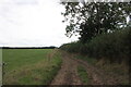 Farm Track Near Burleaze Farm