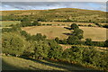 Cross-valley view to Cefn Gunthly