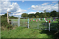 Flags by the Footpath