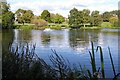 Lake below Marle Hill