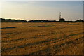 TM4459 : Path across field towards the transmitter mast, sunset light by Christopher Hilton