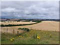 Arable fields at North Hazelrigg