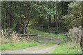 Gate into woodland  south of Ritton Place