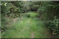 Track into woods near Ritton Castle