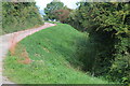 Roadside Mill Reen, Caldicot Level