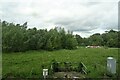 Grassland towards Hinksey Stream