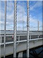 NT1280 : Cables, Forth Road Bridge by Richard Webb