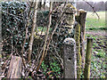 Stone Stile, Withington