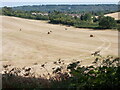 View from the track south of End Farm