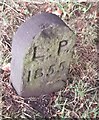 Old Boundary Marker in Wollaton Park, Nottingham