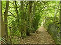 Footpath from Woodhead Road to Blagden Lane