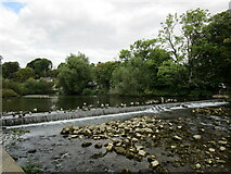 SK2268 : Weir on the River Wye, Bakewell by Jonathan Thacker