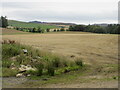 Fields at Tullybelton