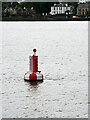 NS2678 : Firth of Clyde, White Foreland Buoy by David Dixon