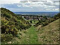 Treenpits at Clee Hill