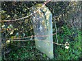 Old Milestone Marker 43-14 F (between bridges 50-49), Lancaster Canal