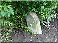 Old Milestone Marker 54-03 F (between bridges 18-17), Lancaster Canal