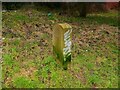 Milestone Marker 56-01 F (between bridges 11-10), Lancaster Canal