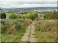 Path down from Castle Hill