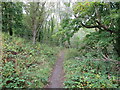 Public Bridleway near Bedlington Bridge, Bedlington