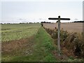 Path to Ingham Cliff