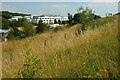 SX8758 : Grass bank, Torbay Business Park by Derek Harper