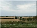 The Severn plain near Deerhurst