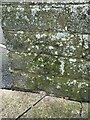 Benchmark at Trem-yr-Wyddfa, Pen-y-groes