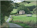 Lane at Llewetrog