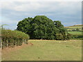 A well hidden Motte