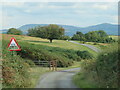 Cattle grid on a country lane