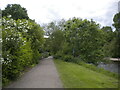 Riverside path, Ilkley (1)