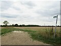 Footpath across fields near Buntingford