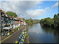 The River Severn from Bewdley Bridge