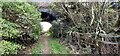 Footpath through bridge carrying dismantled railway in field west of March House